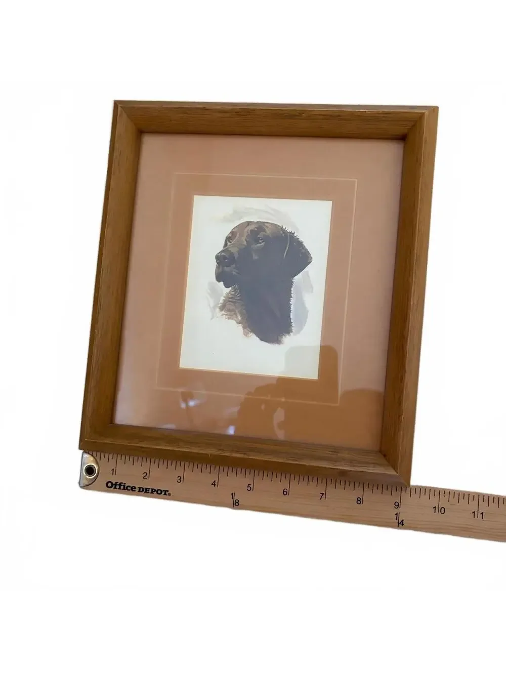 Winston Elliott Chesapeake Labrador Retriever Dog Portrait Painting Embossed Mat